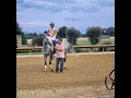 Handicapping 101 How I Do It Part 1