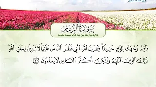 سورة الروم سورة لقمان سورة السجدة سورة الاحزاب تلاوة مشتركة لعدة قراء 