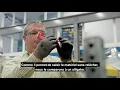 BBI Case Study