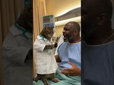 Cat Doctor Confronts Confused Patient #shorts
