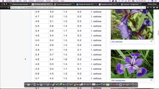 Exploratory Data Analysis 01 Simple Plotting Tools Iris Dataset EDA AI Experiments