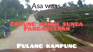 Download pulang kampung, asa waas dengerin musik Degung kawih sunda- pangantenan, jadi kepingin nikah lagi😅🤭 MP3