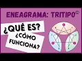 THE ENNEAGRAM TRITYPE WHAT IS IT