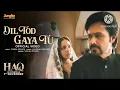 Dil Tod Geya Tu || haq || lofi song || Vishal Mishra
