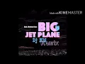 Alok & mathieu koss-Big jet plane(Remix)(Prod.KN)