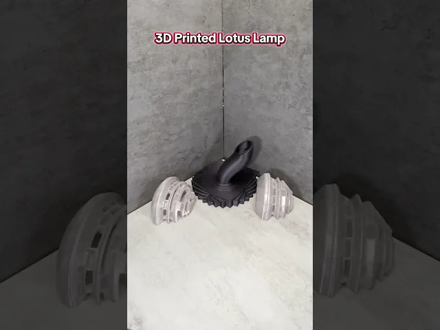 Large Lotus Lamp video thumbnail