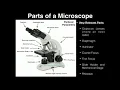 Lab Exercise 2 Microscopes and Cell Shapes