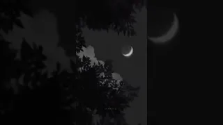 وسط البلد اللي غاب عن عيني 