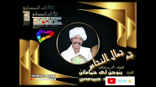 جمال النحاس ينوحن لى حماماتن 