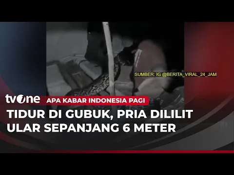 NGERI! Pria Dililit Ular Saat Tengah Tertidur