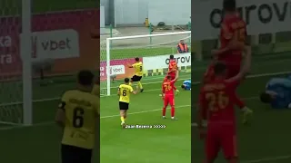 اهداف ومهارات خوان الفينا لاعب الزمالك 