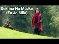 Tu Jo Mila (Dekhna Na Mudke) Song Lyrics | Javed Ali | Pritam | Bajrangi Bhaijaan