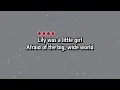 Download Lagu Lily -Alan Walker  karaoke