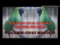 Download Lagu MASTERAN UNTUK CUCAK IJO ANDA. IJO ISIAN PIJANTUNG MIX KUNTI.SUARA JERNIH!!!