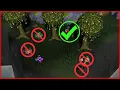 Struggling Sapling Guide Complete OSRS Forestry Event Explanation