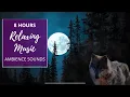 Download Lagu Wolf Howls, Nature At Night. Sleep, Relax, Peaceful [8 HOUR] Ambient Sounds, Music, and Imagery