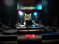 Download Lagu Dj cat 🐈 #dj #djremix #music #tiktokvideo #cat #musiccat #tiktok