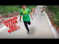 Download Lagu Experiment : Anjing kejar atau tak?