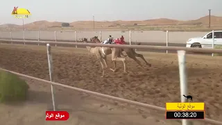 الشوط 16 سراب لـ سيف سالم حمد الدرعي شارة الصنوق الجمعة 2018 05 11 الرقيعات فطامين 