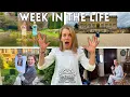 Download Lagu A Week in My Life as a Countess: Exhausting, Chaotic \u0026 Unfiltered