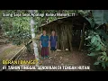 Lagu INI NYATA..HANYA MEREKA YANG BERANI 41 TAHUN TINGGAL SENDIRIAN DI TENGAH HUTAN