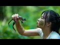 Download Lagu Laughing Mushrooms and Dancing Asparagus - Stormy Season is Coming