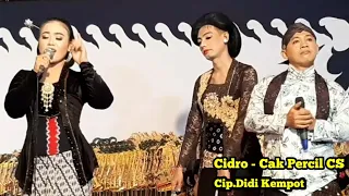 Download Cidro - cover Sinden Nanda Sari Dan Cak Percil Cs MP3