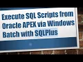 Execute SQL Scripts from Oracle APEX via Windows Batch with SQLPlus