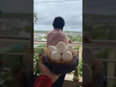 Anda Bhajji #shorts