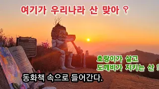 한우산 정상까지 차로간다/백패킹 차박의성지/일몰 일출맛집/철쭉꽃은 얼마나? /상세정보 올립니다.#스타랙스캠핑카 #노지차박 썸네일