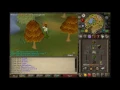 Lil Bruh s OSRS Zeah Ironman 5 - XERIC S TALISMAN