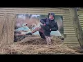 Tophouse - The Mountain Song. My 2024