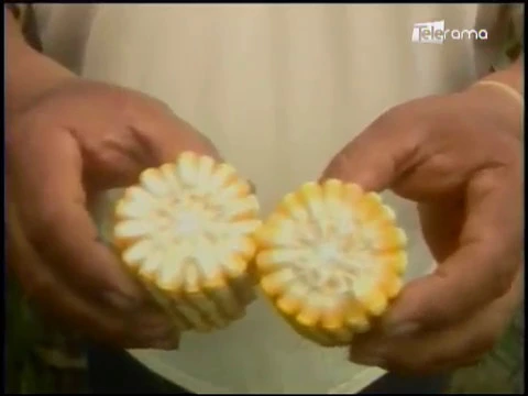 Ecuador Agropecuario 22-01-2018