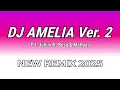 Download Lagu DJ AMELIA Ver. 2 ( DJ. Julius ) 2025 | Techno Bounce Remix | NEW REMIX 2025 | No Copyright