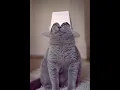 The XX- Crystalised (Edu Imbernon Remix)