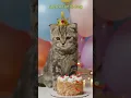 Download Lagu 🎂🐾 Cutest Kitten Birthday Ever – British Shorthair Style! 🐱✨ #fyp  #kitten #catvideos #catlovers