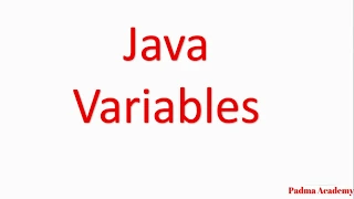 Types of Variables in java Difference between Instance Static and Local Variables