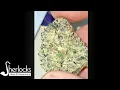 Gas Mask Strain AAA THCa Flower
