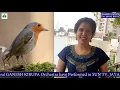 Download Lagu CHITTU KURUVI MUTHAM by Super Singer SRISHA in GANESH KIRUPA Best Light Music Orchestra in Chennai