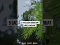 Download Lagu 5 lagu slow cocok buat video cinematic #cinematicmusic