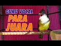 Lagu MASTERAN CUCAK JENGGOT GACOR FULL BESETAN SUPER MEWAH COCOK UNTUK MURAI BATU