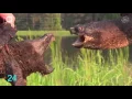GIFS With Sound PURE REDDIT Mashup BEST REDDIT GIF S EVER