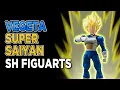 Video di Vegeta sh figuarts