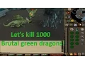 Runescape 2007 Let s kill 1000 Brutal green dragons