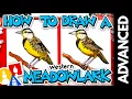 How To Draw A Western Meadowlark Bird - Advanced
