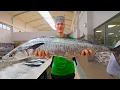 Arabian Seafood Tour FISH MARKET Most Unique Seafood in Oman