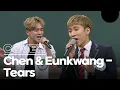 Amazing vocalist BTOB eunkwang \u0026 EXO chen!