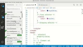 Selectors Class Element ID Grouping Selector in CSS Part 3