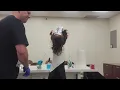 Foil Highlights Application Service Texas State Board Cosmetology Operator Practical Exam