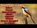 Download Lagu masteran cendet ! full isian kacer murai batu sirtu kenari ciblek cucak jenggot prenjak dll